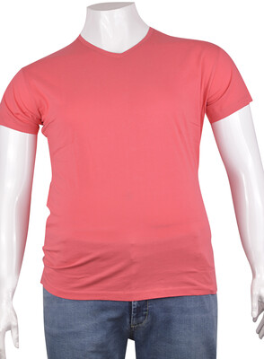 ZegSlacks - V Yaka Basic T-Shirt (tst0274)