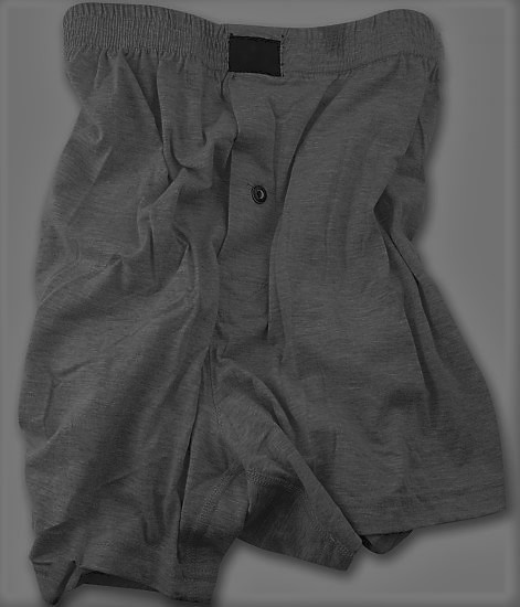 Penye Boxer Şort (gri)